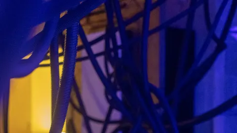Щоденник маріупольки звучатиме на Венеційському кінофестивалі