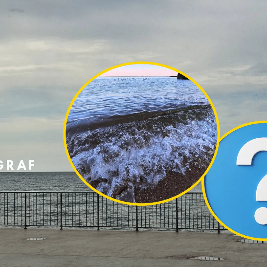 Навалу медуз в Азовському морі фіксують біля Маріуполя