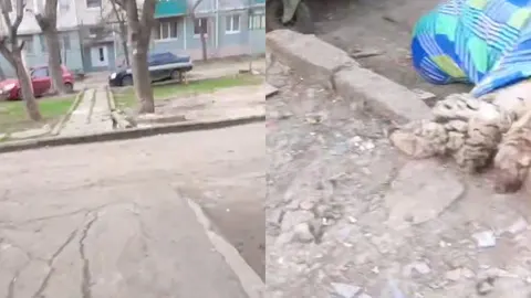 Стихійна торгівля та забій тварин: як змінився Маріуполь під окупацією